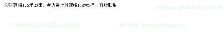 求購冠幅1.2、1.8米金邊黃楊球
