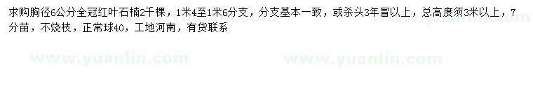 求購(gòu)胸徑6公分紅葉石楠