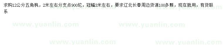 求購12公分五角楓