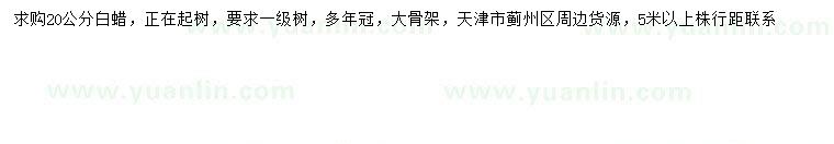 求購20公分白蠟