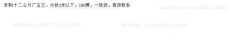 求購12公分廣玉蘭
