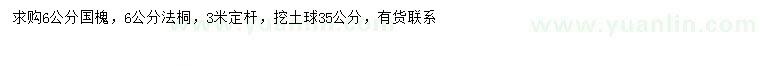 求購6公分國槐、法桐