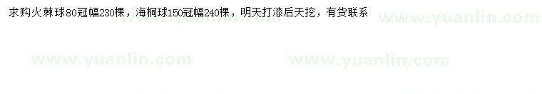 求購冠幅80公分火棘球、冠幅150公分海桐球