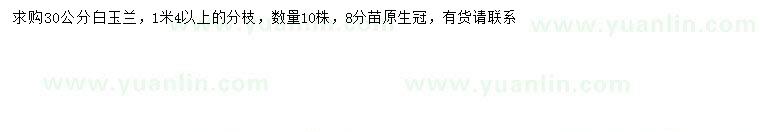 求購(gòu)30公分白玉蘭