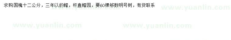 求購(gòu)12公分國(guó)槐