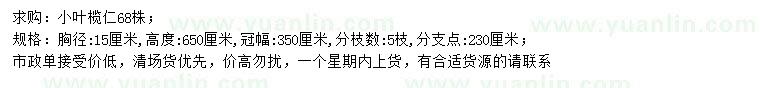 求購(gòu)胸徑15公分小葉欖仁