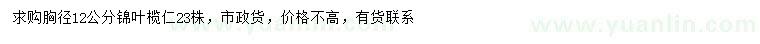 求購胸徑12公分錦葉欖仁