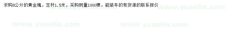 求購(gòu)8公分黃金槐