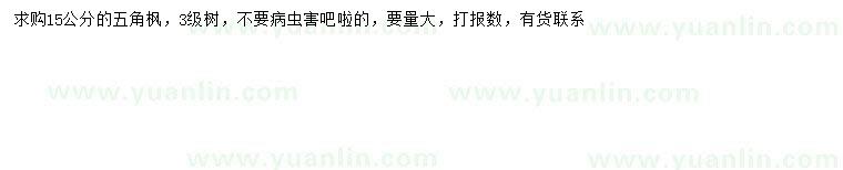 求購15公分五角楓