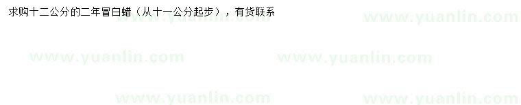 求購(gòu)11-12公分白蠟