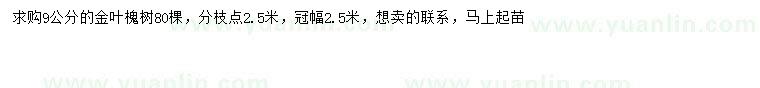 求購(gòu)9公分金葉槐