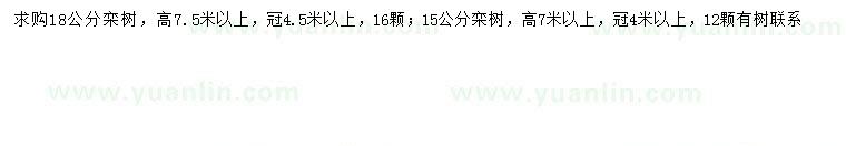 求購15、18公分欒樹