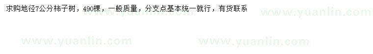 求購(gòu)地徑7公分柿子樹