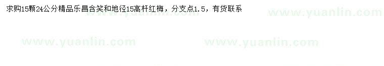 求購24公分樂昌含笑、地徑15公分高桿紅梅