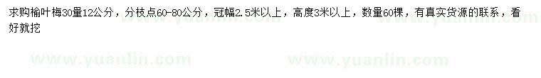 求購(gòu)30量12公分榆葉梅