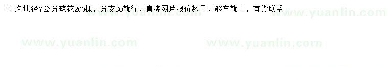求購地徑7公分瓊花
