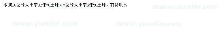 求購7、10公分太陽李