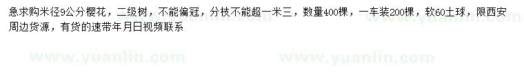 求購米徑9公分櫻花