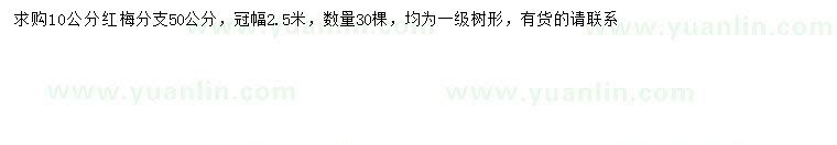求購(gòu)10公分紅梅
