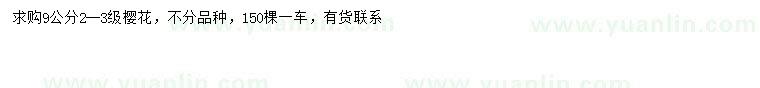 求購9公分櫻花
