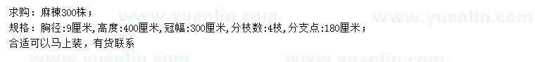 求購(gòu)胸徑9公分麻楝