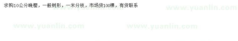 求購(gòu)10公分晚櫻