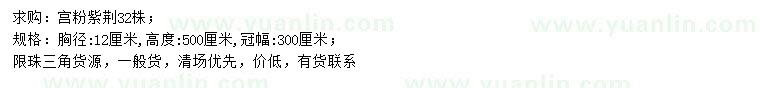 求購胸徑12公分宮粉紫荊