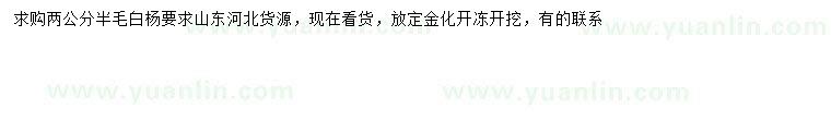 求購2.5公分毛白楊