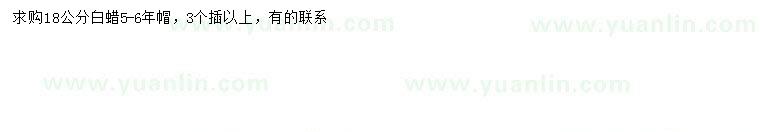 求購(gòu)18公分白蠟
