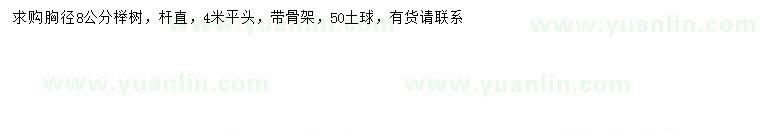 求購(gòu)胸徑8公分櫸樹(shù)
