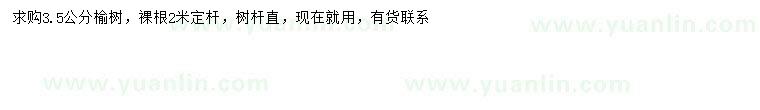 求購3.5公分榆樹