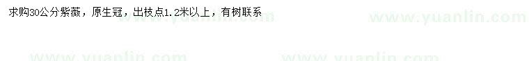 求購30公分紫薇