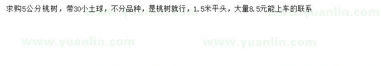 求購5公分桃樹