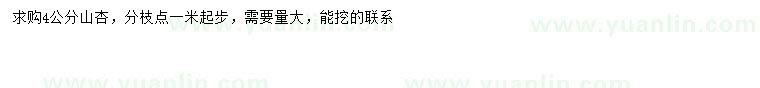 求購4公分山杏