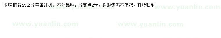 求購(gòu)胸徑25公分美國(guó)紅楓