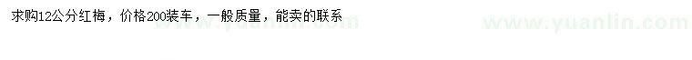 求購12公分紅梅