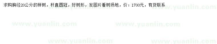 求購胸徑20公分櫸樹