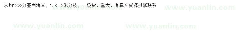 求購12公分亞當(dāng)海棠