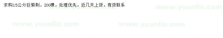 求購15公分巨紫荊