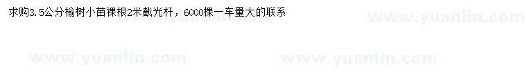 求購3.5公分榆樹小苗