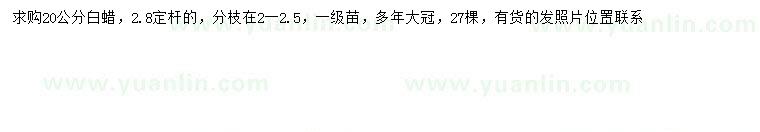 求購20公分白蠟