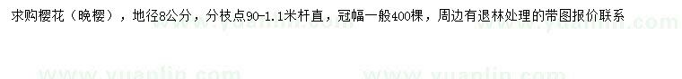 求購地徑8公分晚櫻