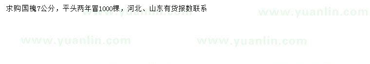 求購(gòu)7公分國(guó)槐