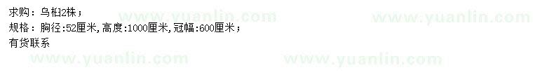求購胸徑52公分烏桕