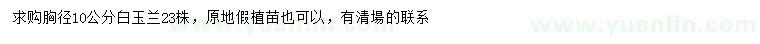 求購胸徑10公分白玉蘭