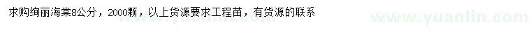 求購(gòu)8公分絢麗海棠
