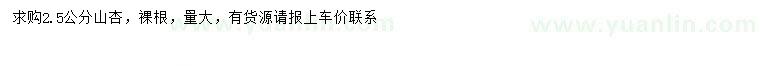 求購2.5公分山杏