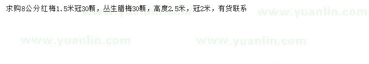 求購(gòu)8公分紅梅、冠幅2米叢生臘梅