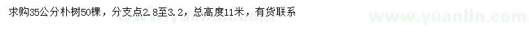 求購35公分樸樹