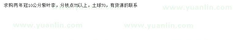 求購(gòu)10公分紫葉李